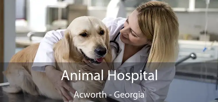 Animal Hospital Acworth - Georgia