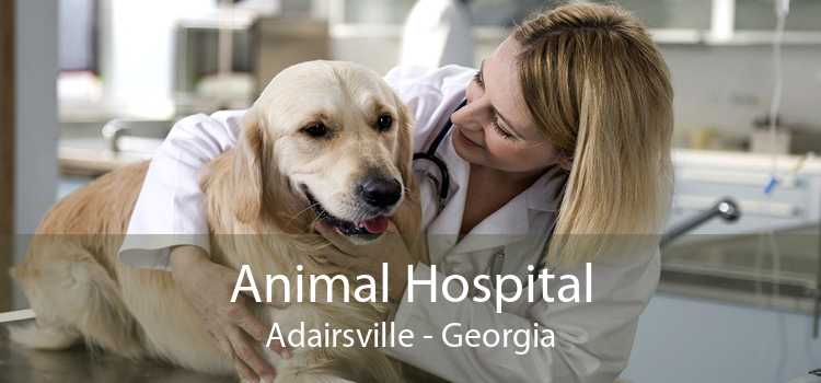 Animal Hospital Adairsville - Georgia