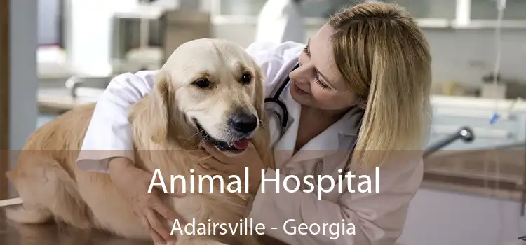 Animal Hospital Adairsville - Georgia