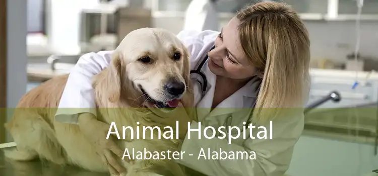 Animal Hospital Alabaster - Alabama