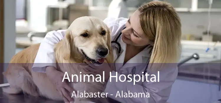 Animal Hospital Alabaster - Alabama