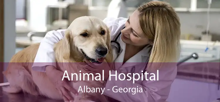 Animal Hospital Albany - Georgia
