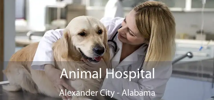 Animal Hospital Alexander City - Alabama