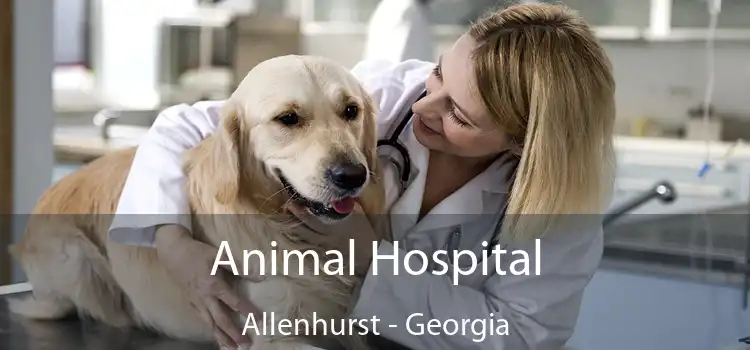 Animal Hospital Allenhurst - Georgia