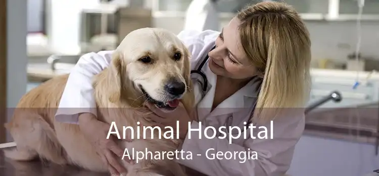 Animal Hospital Alpharetta - Georgia