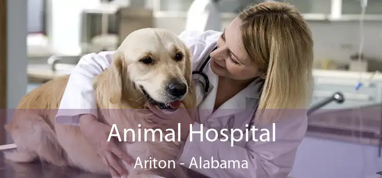 Animal Hospital Ariton - Alabama