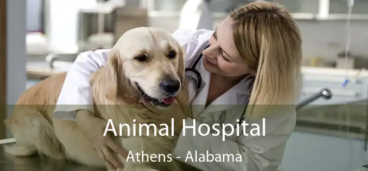 Animal Hospital Athens - Alabama