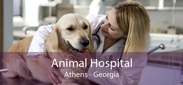 Animal Hospital Athens - Georgia