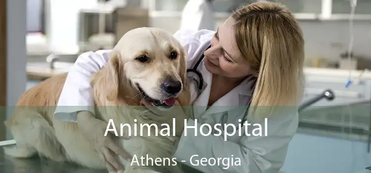 Animal Hospital Athens - Georgia