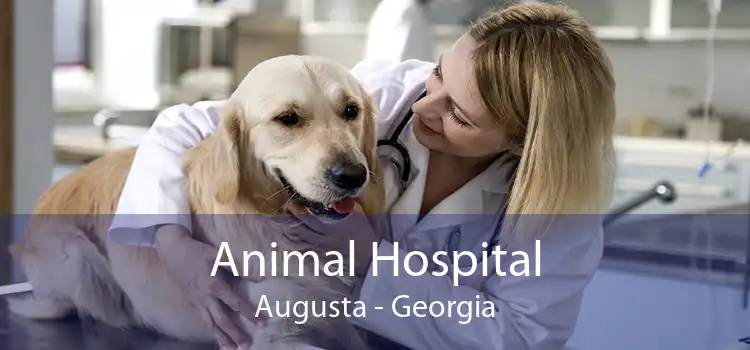 Animal Hospital Augusta - Georgia