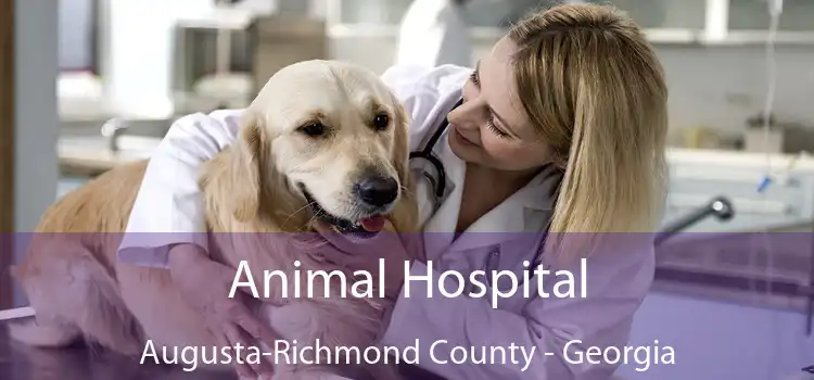 Animal Hospital Augusta-Richmond County - Georgia
