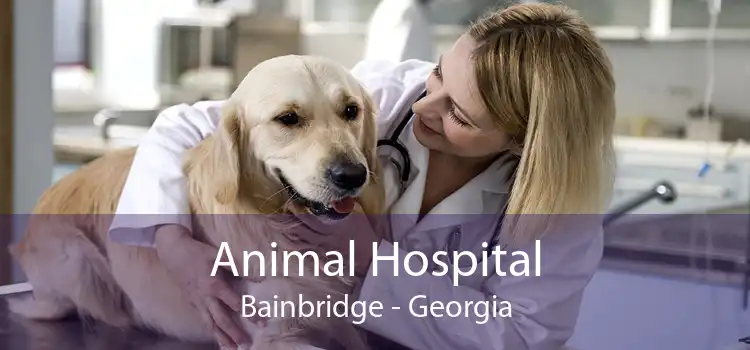 Animal Hospital Bainbridge - Georgia