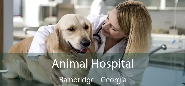 Animal Hospital Bainbridge - Georgia