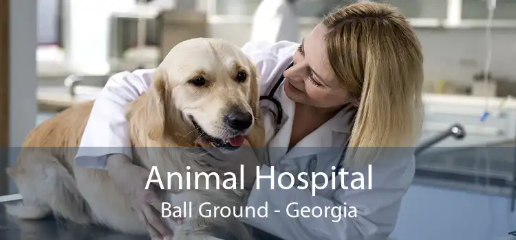 Animal Hospital Ball Ground - Georgia