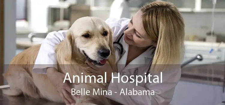 Animal Hospital Belle Mina - Alabama