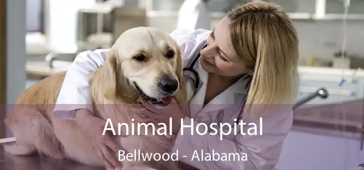 Animal Hospital Bellwood - Alabama