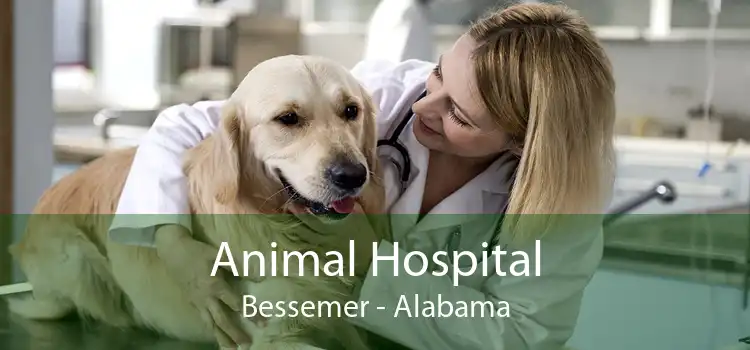 Animal Hospital Bessemer - Alabama