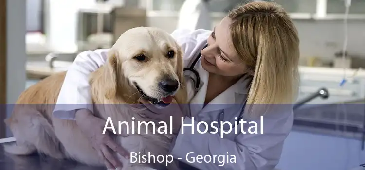 Animal Hospital Bishop - Georgia