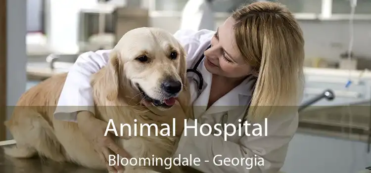 Animal Hospital Bloomingdale - Georgia