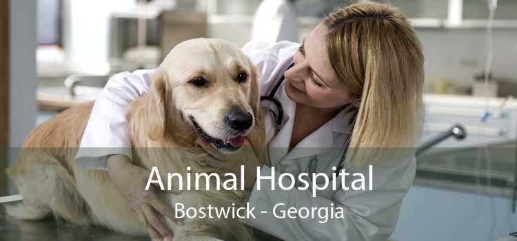 Animal Hospital Bostwick - Georgia