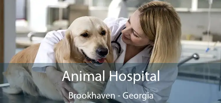 Animal Hospital Brookhaven - Georgia