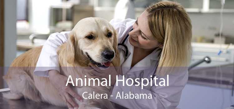 Animal Hospital Calera - Alabama