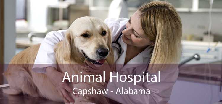 Animal Hospital Capshaw - Alabama