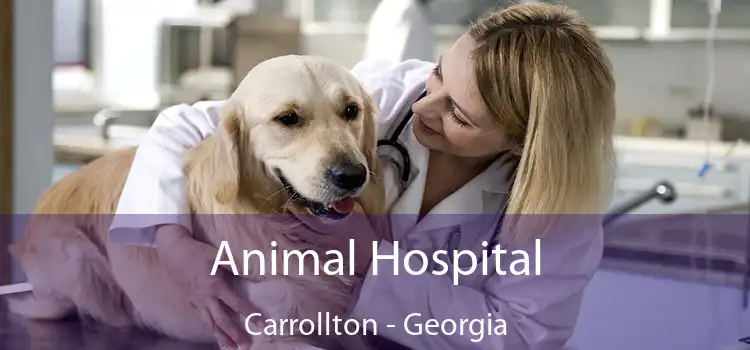 Animal Hospital Carrollton - Georgia