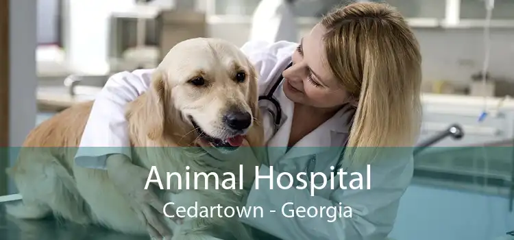 Animal Hospital Cedartown - Georgia