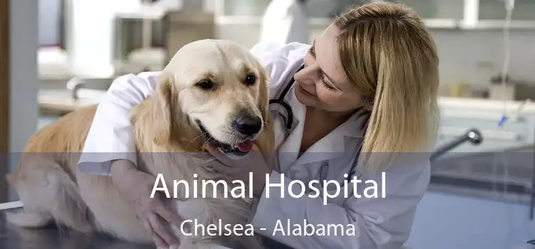 Animal Hospital Chelsea - Alabama