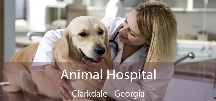 Animal Hospital Clarkdale - Georgia