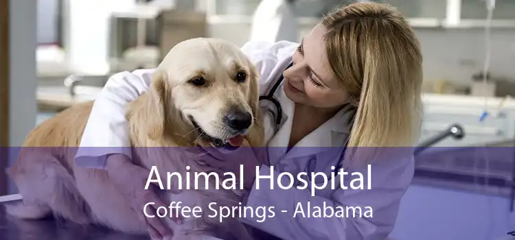 Animal Hospital Coffee Springs - Alabama