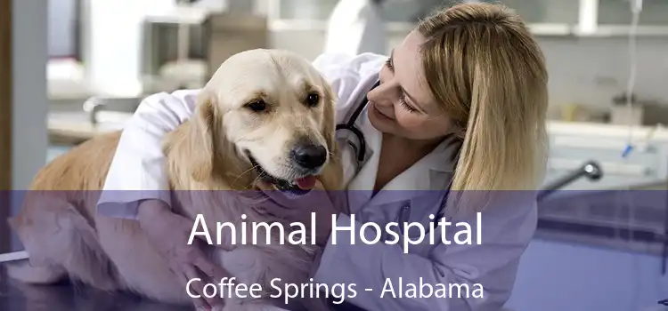 Animal Hospital Coffee Springs - Alabama