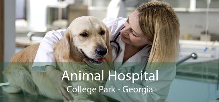Animal Hospital College Park - Georgia