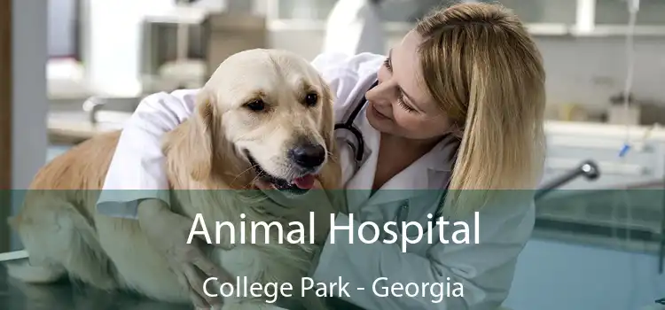 Animal Hospital College Park - Georgia