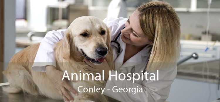 Animal Hospital Conley - Georgia