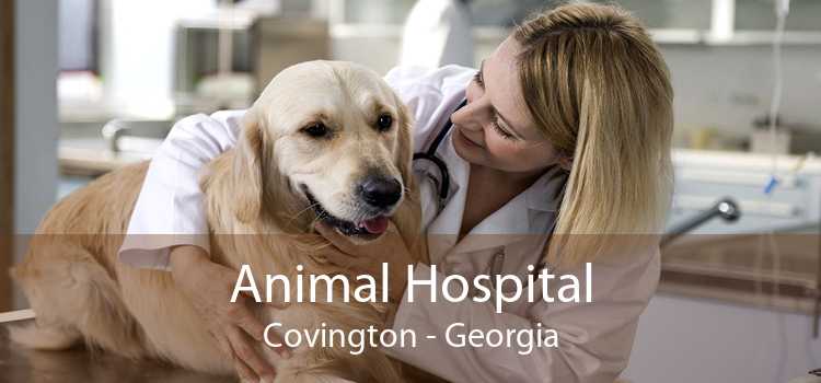 Animal Hospital Covington - Georgia