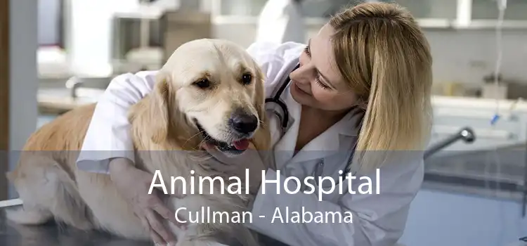 Animal Hospital Cullman - Alabama