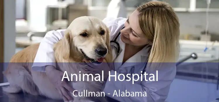 Animal Hospital Cullman - Alabama