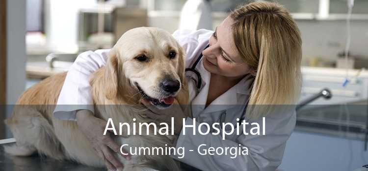 Animal Hospital Cumming - Georgia