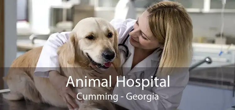Animal Hospital Cumming - Georgia