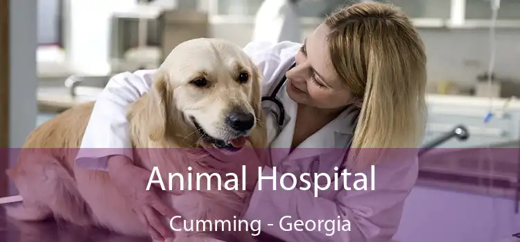 Animal Hospital Cumming - Georgia