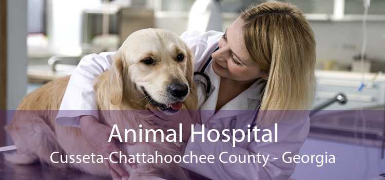 Animal Hospital Cusseta-Chattahoochee County - Georgia