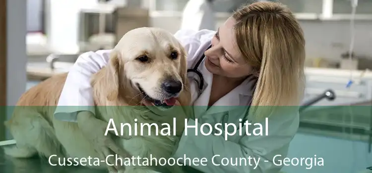 Animal Hospital Cusseta-Chattahoochee County - Georgia