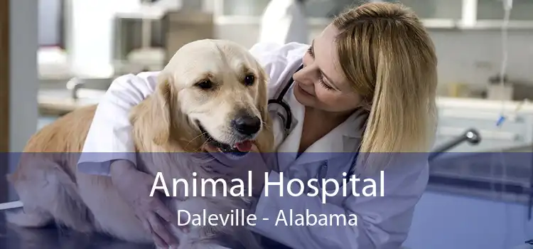 Animal Hospital Daleville - Alabama