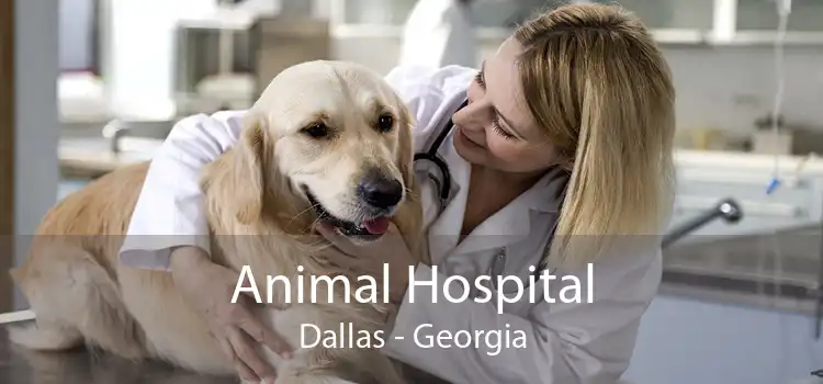 Animal Hospital Dallas - Georgia
