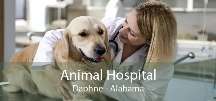 Animal Hospital Daphne - Alabama