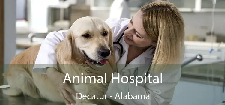 Animal Hospital Decatur - Alabama