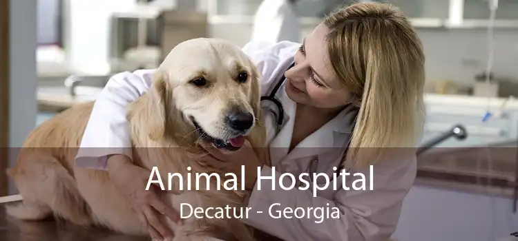 Animal Hospital Decatur - Georgia