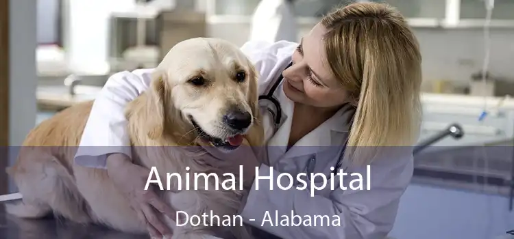 Animal Hospital Dothan - Alabama